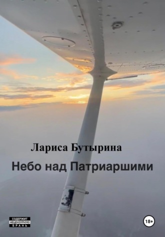 Небо над Патриаршими Лариса Бутырина, Небо над Патриаршими