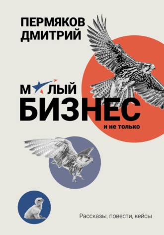 Дмитрий Пермяков, О бизнесе на примерах. Сборник рассказов