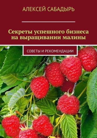 Алексей Сабадырь, Секреты успешного бизнеса на выращивании малины. Советы и рекомендации