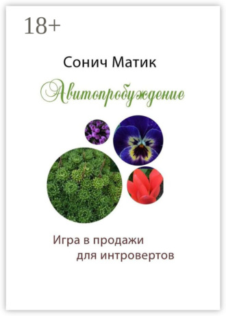 Авитопробуждение. Игра в продажи для интровертов Сонич Матик, Авитопробуждение. Игра в продажи для интровертов