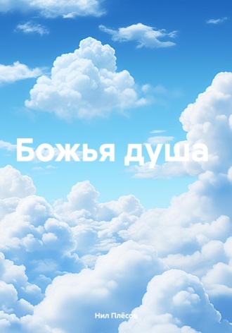 Божья душа Нил Плёсов, Божья душа