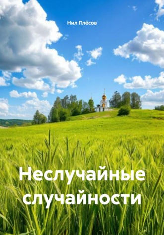 Неслучайные случайности Нил Плёсов, Неслучайные случайности