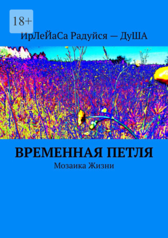 Временная петля. Мозаика жизни ИрЛеЙаСа Радуйся – ДуША, Временная петля. Мозаика жизни