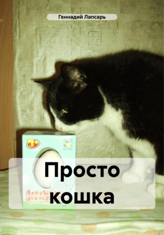 Геннадий Лапсарь, Просто кошка