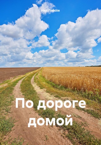 По дороге домой Нил Плёсов, По дороге домой