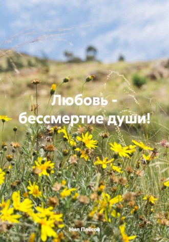 ЛЮБОВЬ – БЕССМЕРТИЕ ДУШИ! Нил Плёсов, ЛЮБОВЬ – БЕССМЕРТИЕ ДУШИ!