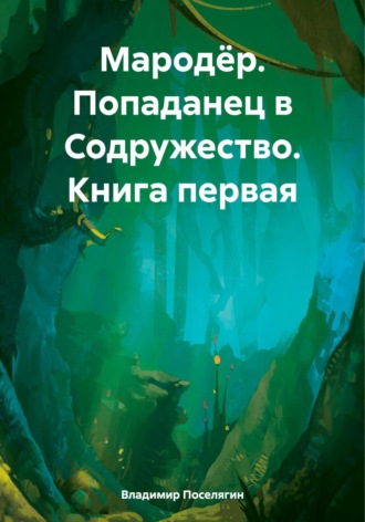 Владимир Поселягин, Мародёр. Попаданец в Содружество. Книга первая