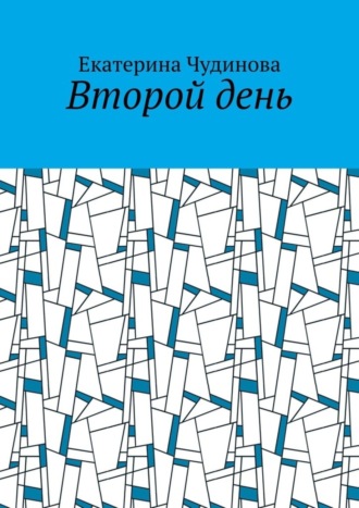 Екатерина Чудинова, Второй день