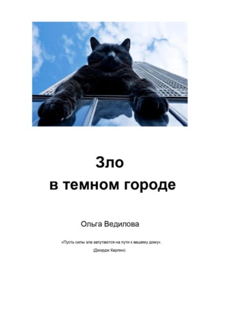 Ольга Ведилова, Зло в темном городе