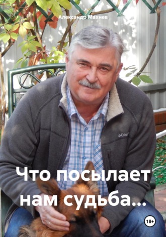 Александр Махнев, Что посылает нам судьба…