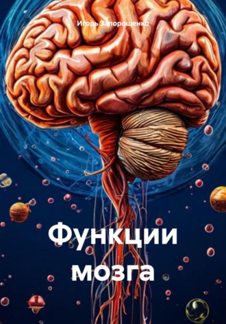 Функции мозга Игорь Запорощенко, Функции мозга