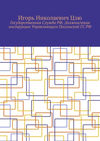 Игорь Цзю, Государственная Служба РФ. Должностная инструкция Управляющего Посольской ГС РФ