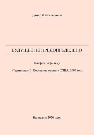 Дамир Жаллельдинов, Будущее не предопределено