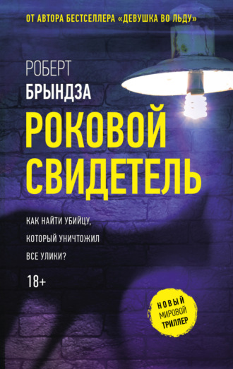 Роковой свидетель Роберт Брындза, Роковой свидетель