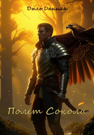 Полёт Сокола Данила Дыль, Полёт Сокола