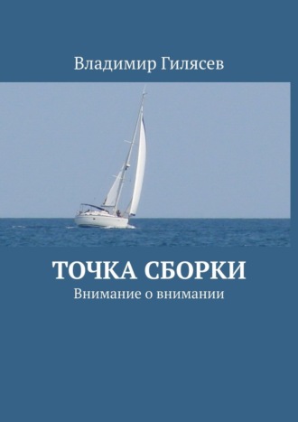 Владимир Гилясев, Точка сборки. Внимание о внимании