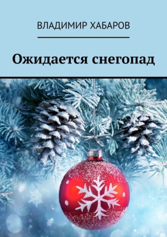 Владимир Хабаров, Ожидается снегопад