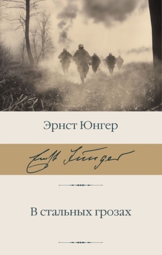 В стальных грозах Эрнст Юнгер, В стальных грозах