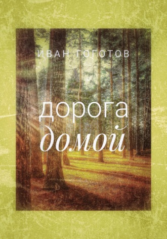 Дорога домой Иван Гоготов, Дорога домой