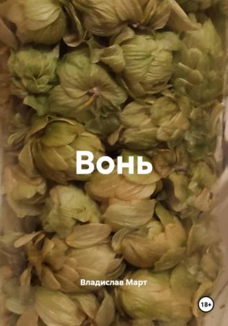 Вонь Владислав Март, Вонь