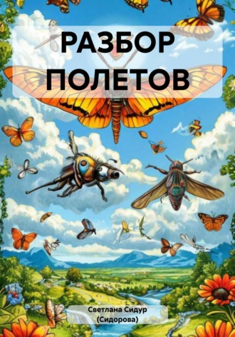 РАЗБОР ПОЛЕТОВ Светлана Сидур (Сидорова), РАЗБОР ПОЛЕТОВ