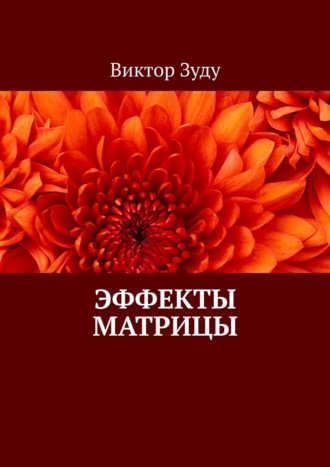 Эффекты матрицы Виктор Зуду, Эффекты матрицы