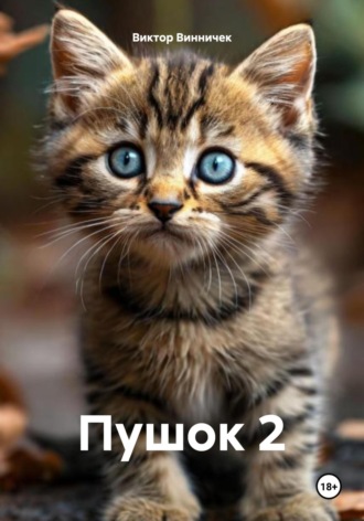 Виктор Винничек, Пушок 2
