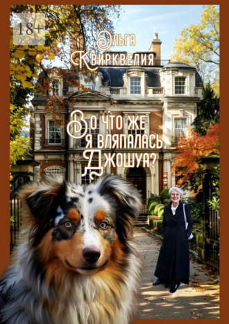Во что же я вляпалась, Джошуа? Ольга Квирквелия, Во что же я вляпалась, Джошуа?