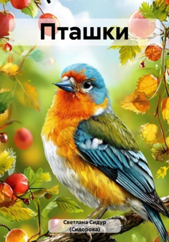 Пташки Светлана Сидур (Сидорова), Пташки