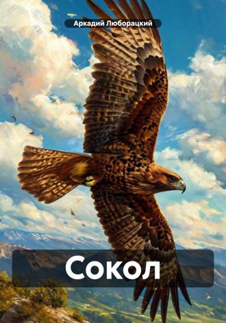 Сокол Аркадий Люборацкий, Сокол