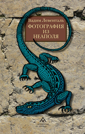 Фотография из Неаполя Вадим Левенталь, Фотография из Неаполя