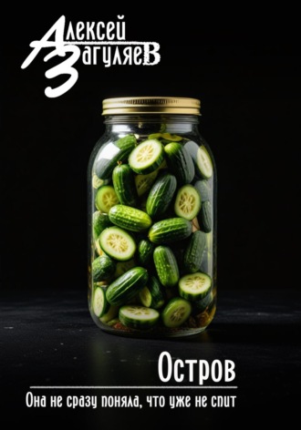 Остров Алексей Загуляев, Остров