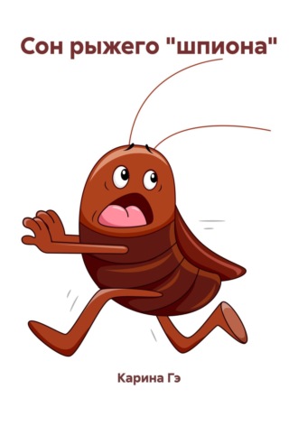 Сон рыжего «шпиона» Карина Гэ, Сон рыжего «шпиона»