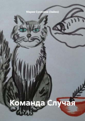 Команда Случая Мария Суханова (Зайко), Команда Случая