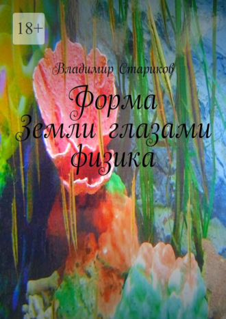 Форма Земли глазами физика Владимир Стариков, Форма Земли глазами физика