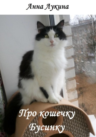 Про кошечку Бусинку Анна Лукина, Про кошечку Бусинку