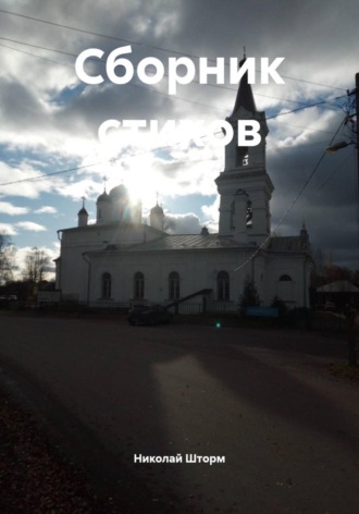 Монета Николай Шторм, Монета