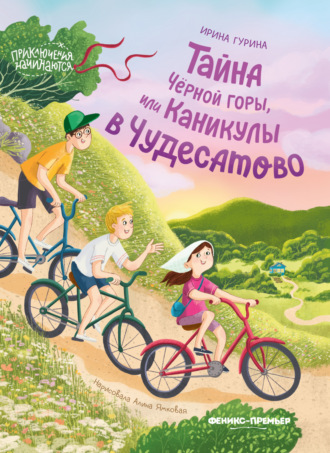 Тайна Черной горы, или Каникулы в Чудесатово Ирина Гурина, Тайна Черной горы, или Каникулы в Чудесатово
