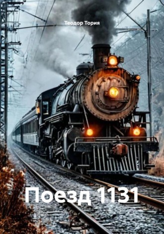 Поезд 1131 Теодор Тория, Поезд 1131