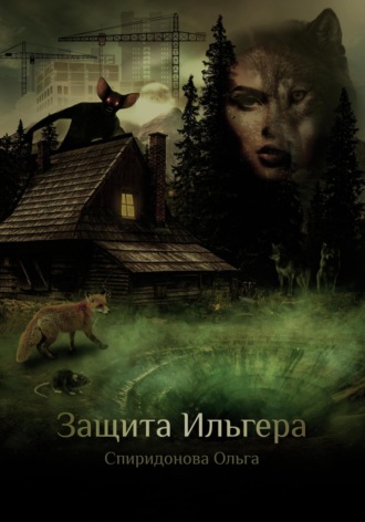 Защита Ильгера Ольга Спиридонова, Защита Ильгера