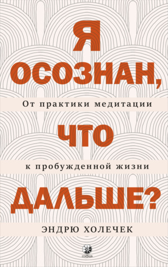 Я осознан, что дальше? От практики медитации к пробужденной жизни Эндрю Холечек, Я осознан, что дальше? От практики медитации к пробужденной жизни