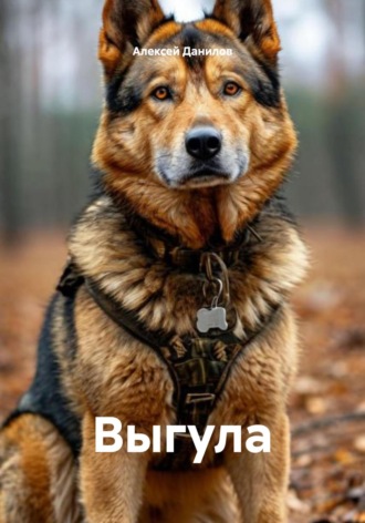 Выгула Алексей Данилов, Выгула