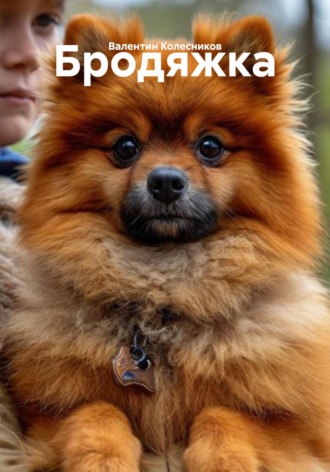 Бродяжка Валентин Колесников, Бродяжка