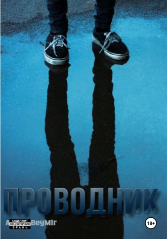 Проводник Bey Mir, Проводник