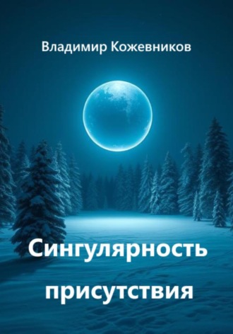 Сингулярность присутствия Владимир Кожевников, Сингулярность присутствия