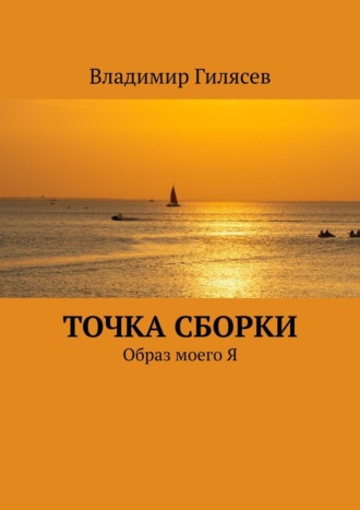 Точка сборки. Образ моего Я Владимир Гилясев, Точка сборки. Образ моего Я