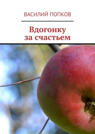 Вдогонку за счастьем Василий Попков, Вдогонку за счастьем
