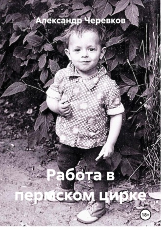 Александр Черевков, Работа в пермском цирке