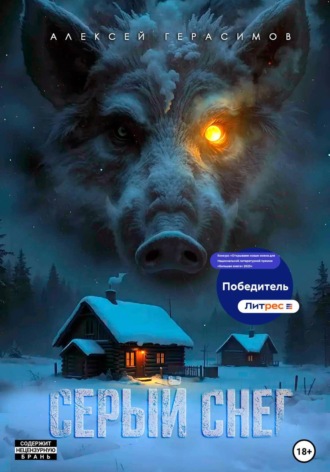 Серый снег Алексей Герасимов, Серый снег