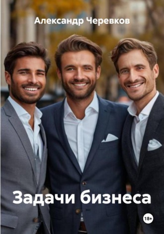 Александр Черевков, Задачи бизнеса